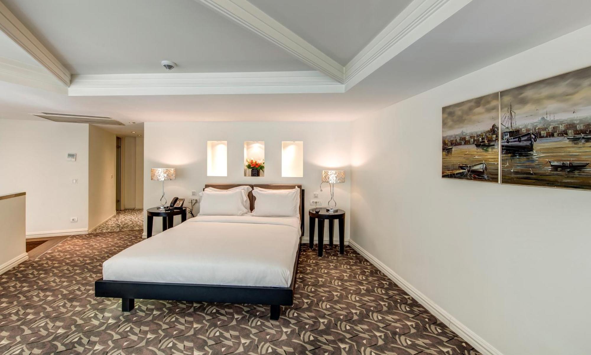 The Elysium Taksim Hotel Istanboel